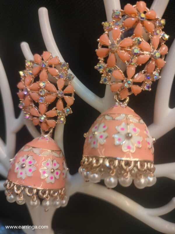 Aboli color earrings